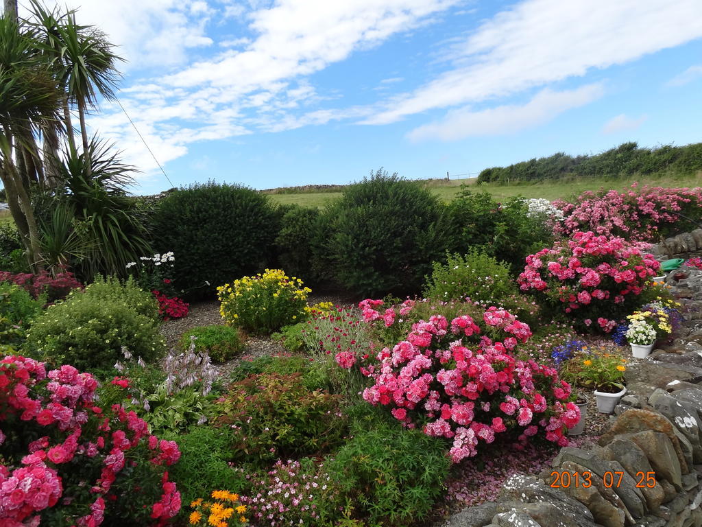 Atlantic View B&B Liscannor Esterno foto